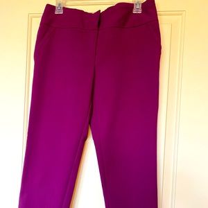 New York Company pants